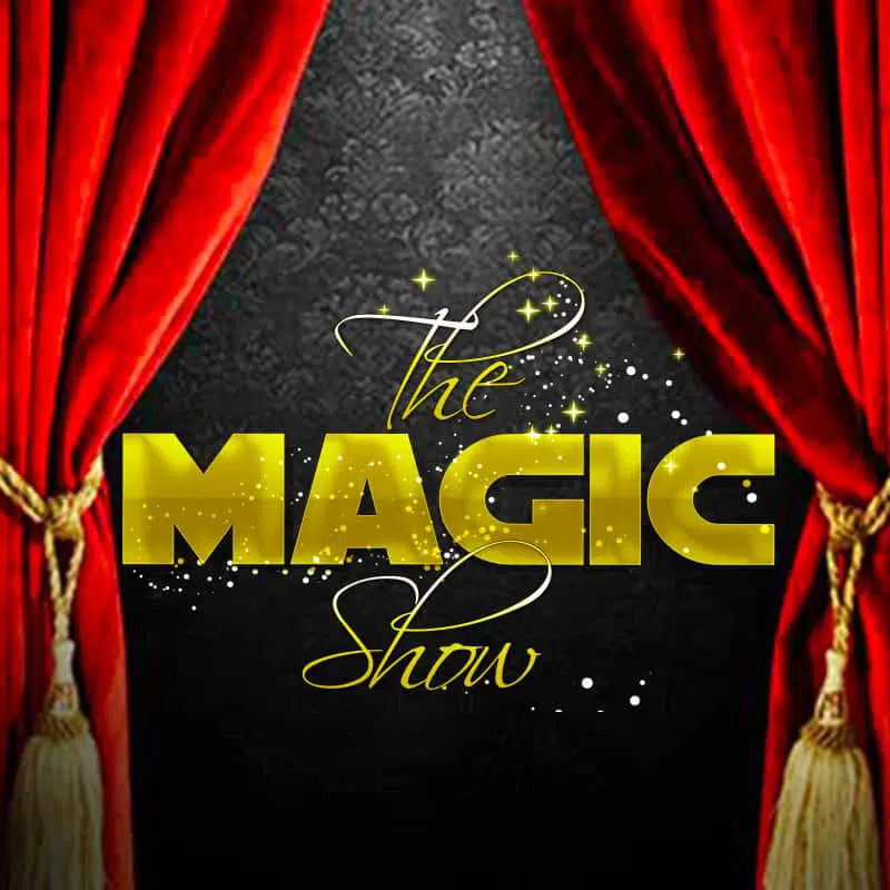 the magic show spectacle des arts visuels